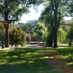 Photo Parc Güell visit